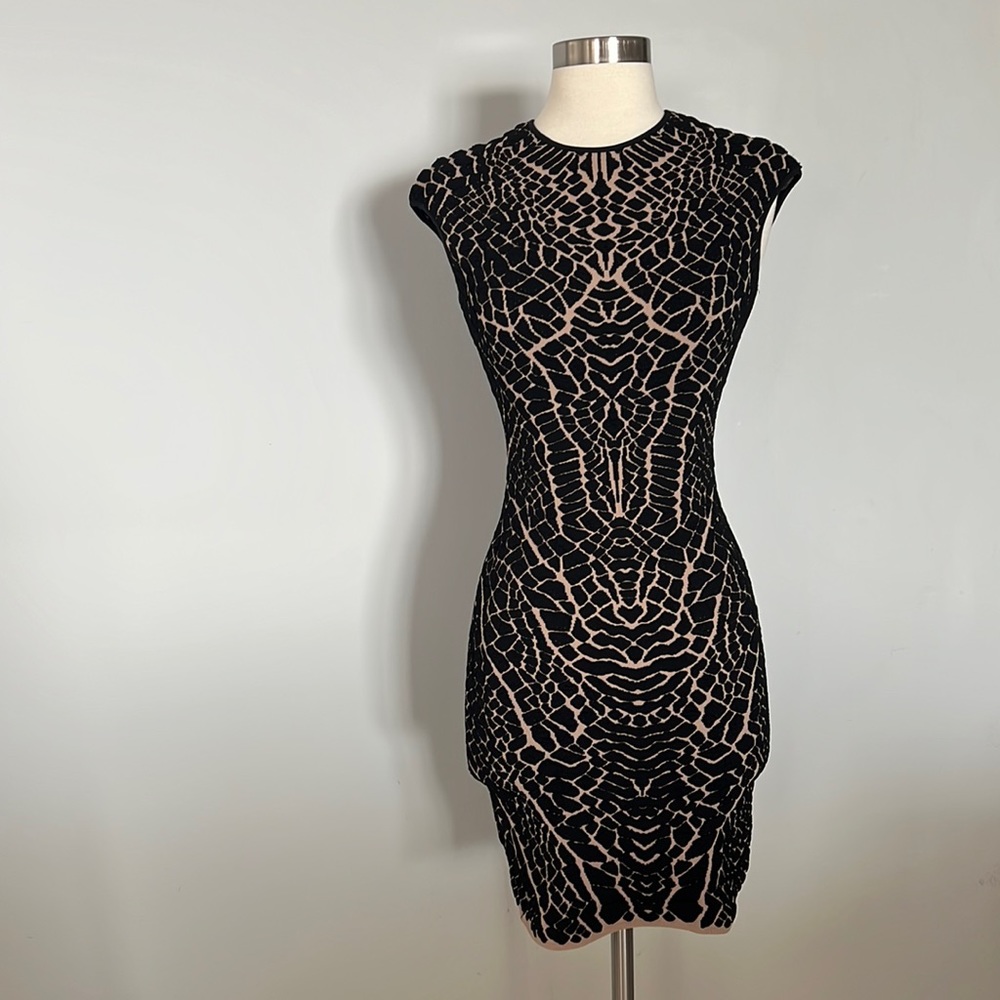 RVN Dress